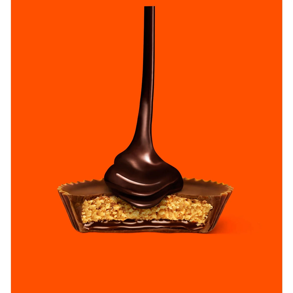 Reese's Chocolate Lava Snack Size Peanut Butter Cups – Riche confiserie au chocolat américain