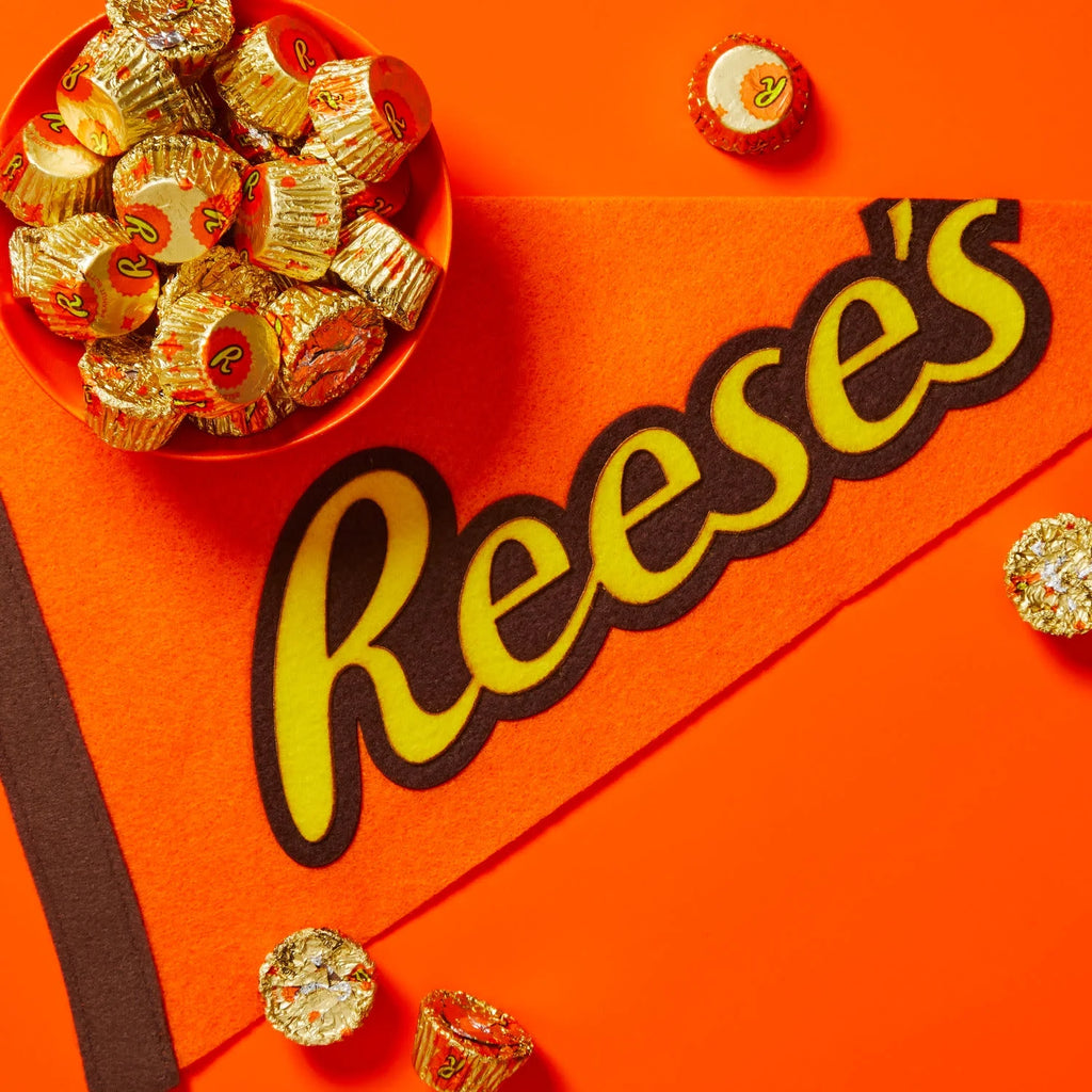 Reese's Miniatures, bonbons au beurre de cacahuète et chocolat au lait – une confiserie américaine classique au beurre de cacahuète