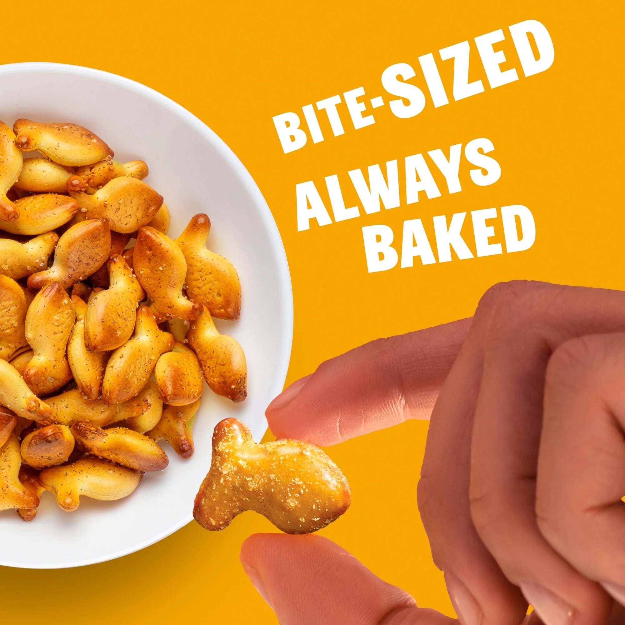 Goldfish Honey Mustard Seasoned Pretzels