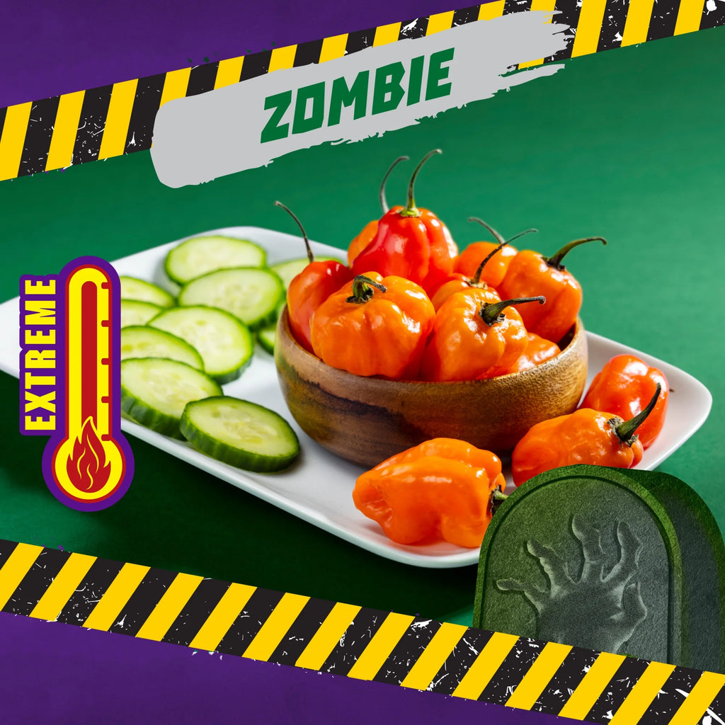 Takis Zombie Habanero et Concombre Chips de Tortilla Roulées