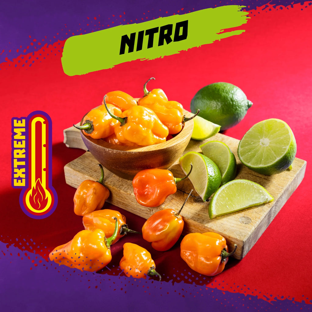 Takis Nitro Tortilla Chips Roulées Saveur Habanero et Citron Vert